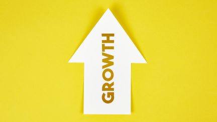 5 steps to grow your business