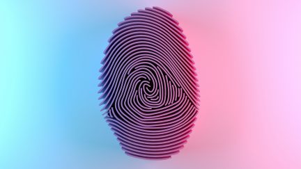 How to improve your digital identity and build an effective brand